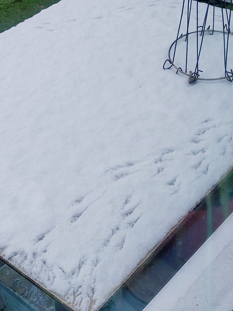 CobiPoel's tweet image. #November_kiek #Spoor @Tpzijl