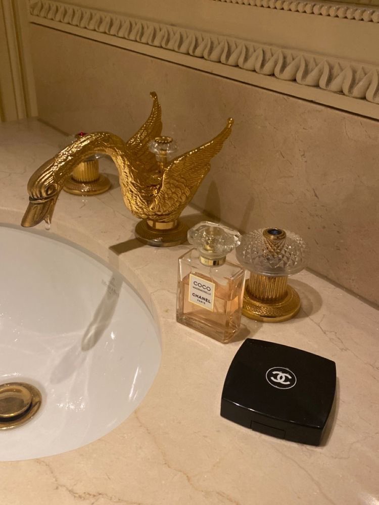 The Ritz Paris 🦢✨