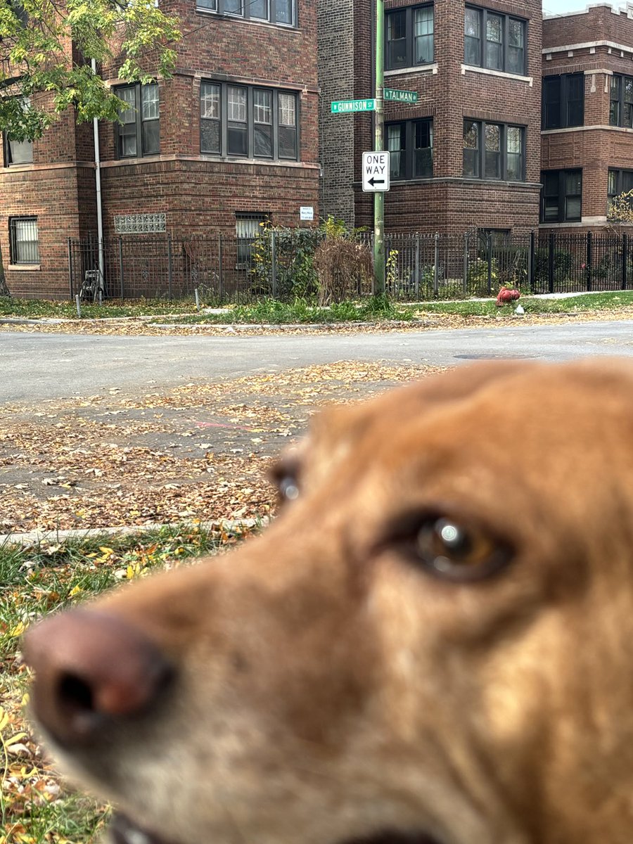 Linda Trotier tweet media