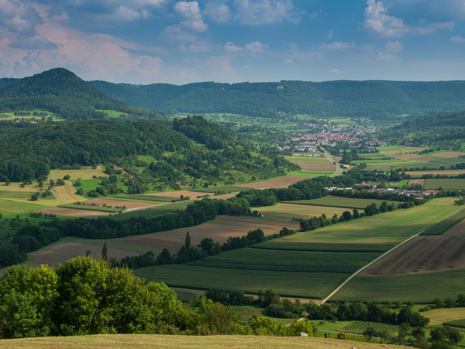 🌱 #Naturschutz braucht Fläche – Einblicke von der Naturschutztagung des Bundesverbands Beruflicher Naturschutz (BBN)
lnkd.in/eB9biMKu