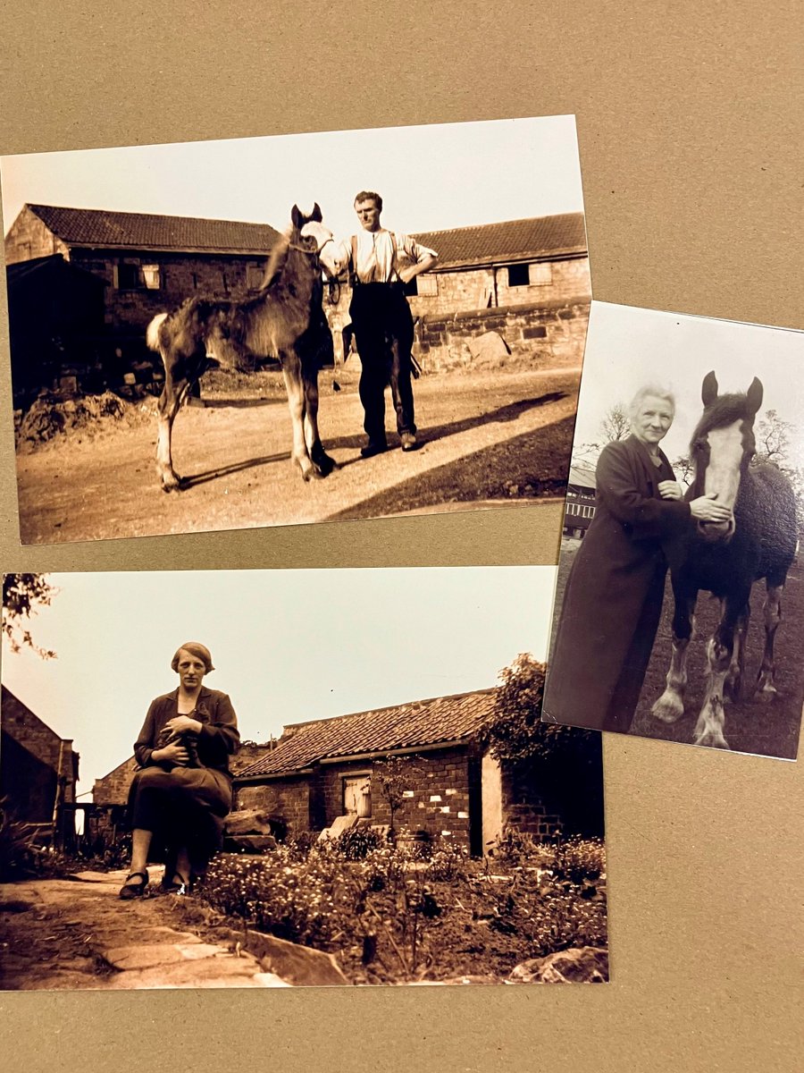 Rotherham Museums, Arts and Heritage (@cliftonparkmus) on Twitter photo Furry friends are part of our history, too! How many of the photos in your device are of your pets? <a href="/explorearchives/">Explore Your Archive</a> #animals Rotherham Archives & Local Studies Ref 1331-F Furry friends are part of our history, too! How many of the photos in your device are of your pets? <a href="/explorearchives/">Explore Your Archive</a> #animals Rotherham Archives & Local Studies Ref 1331-F