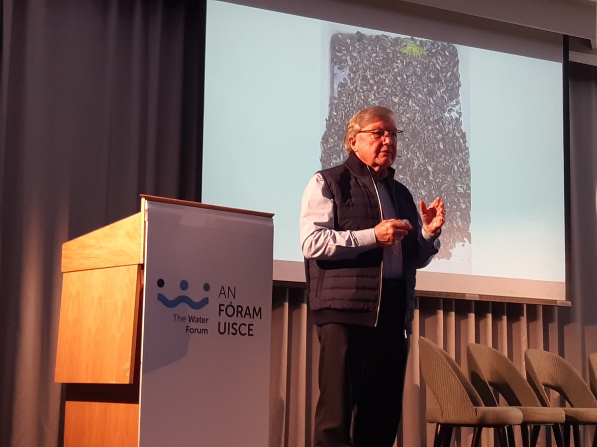 The Water Forum - An Fóram Uisce (@anforamuisce) on Twitter photo Zebra mussel shells providing a habitat for may flies in Ireland's lakes. <a href="/swanireland/">Sustainable Water Network (SWAN)</a> <a href="/triona_mcgrath/">Triona McGrath</a> <a href="/kenwhelan0451/">Ken Whelan</a> #WaterClimate2024 Zebra mussel shells providing a habitat for may flies in Ireland's lakes. <a href="/swanireland/">Sustainable Water Network (SWAN)</a> <a href="/triona_mcgrath/">Triona McGrath</a> <a href="/kenwhelan0451/">Ken Whelan</a> #WaterClimate2024
