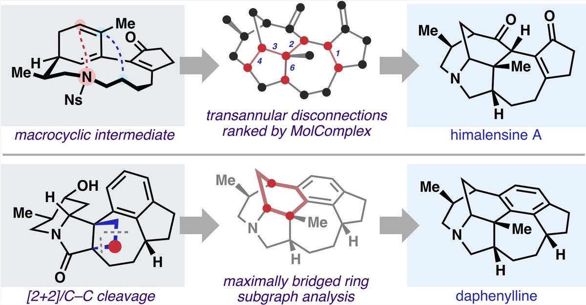 Total Synthesis (@totalsynthesis) on Twitter photo Molecular Complexity-Inspired #Synthetic Strategies toward the Calyciphylline A‑Type Daphniphyllum Alkaloids Himalensine A and Daphenylline by <a href="/B_randonwright/">Brandon Wright</a>, Taku Okada, Alessio Regni <a href="/AlessioReg91105/">Alessio Regni</a>, <a href="/GuilianLuchini/">Guilian Luchini</a>, Shree Sowndarya S. V, Nattawadee Chaisan <a href="/NattawadeeCha11/">Nattawadee Chaisan</a>, Molecular Complexity-Inspired #Synthetic Strategies toward the Calyciphylline A‑Type Daphniphyllum Alkaloids Himalensine A and Daphenylline by <a href="/B_randonwright/">Brandon Wright</a>, Taku Okada, Alessio Regni <a href="/AlessioReg91105/">Alessio Regni</a>, <a href="/GuilianLuchini/">Guilian Luchini</a>, Shree Sowndarya S. V, Nattawadee Chaisan <a href="/NattawadeeCha11/">Nattawadee Chaisan</a>,