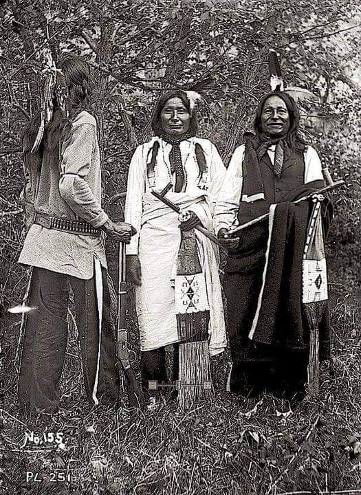 Native American Power🇺🇲 tweet media