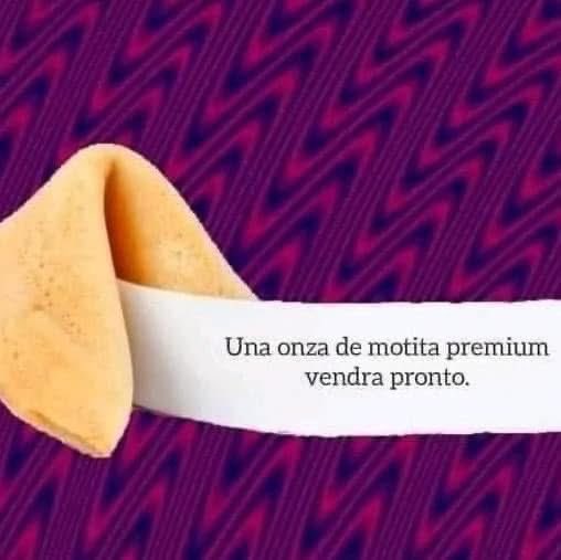 La buena fortuna los sigue