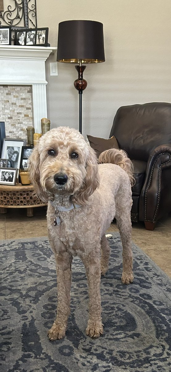 Tapping in over at 
bsky.app/profile/jrob04…