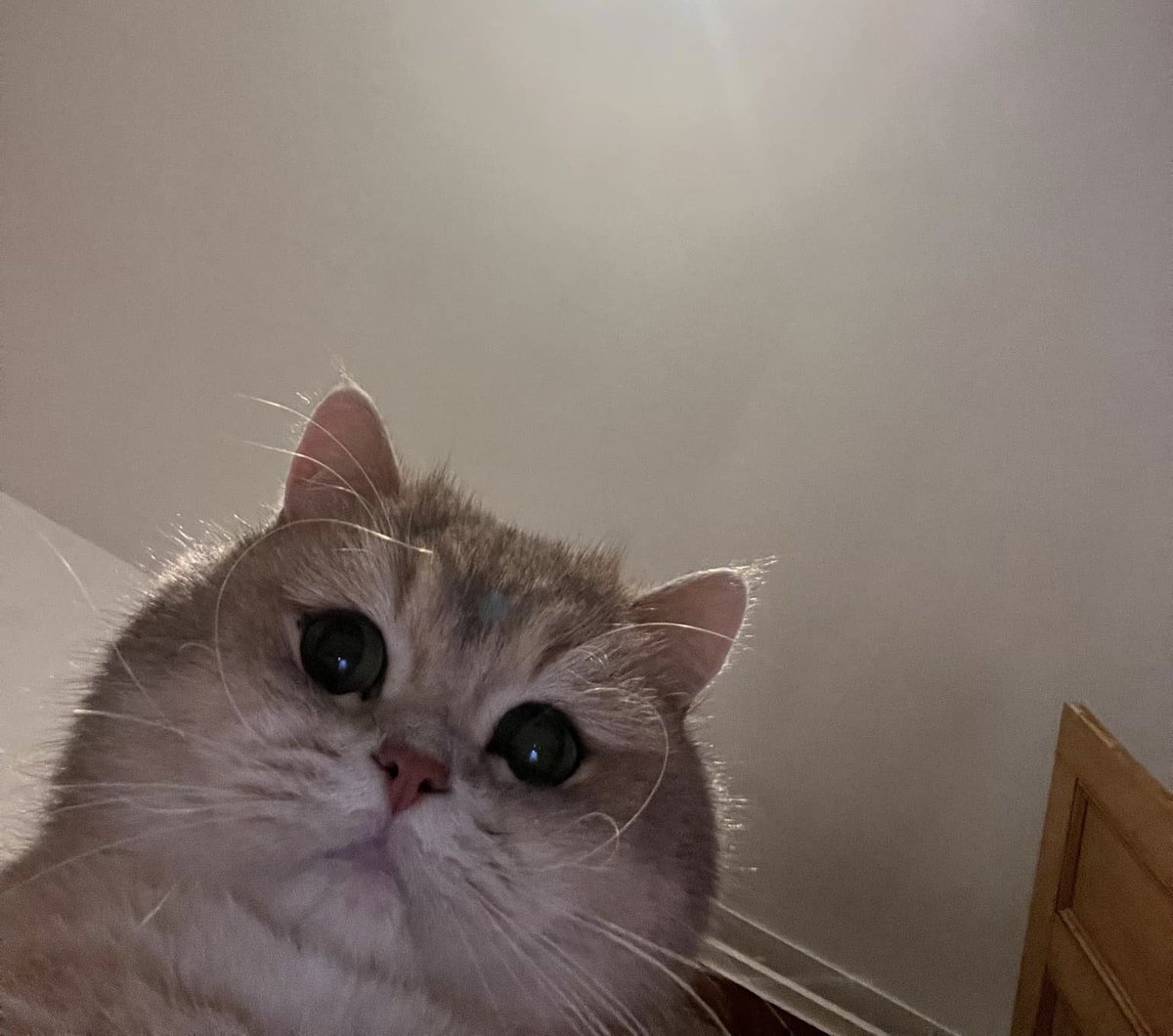 SolidarityCoUK's tweet image. i opened my eyes this morning and this is all i saw