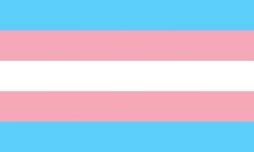 Drop a 💙 if you are a SAFE place for trans people