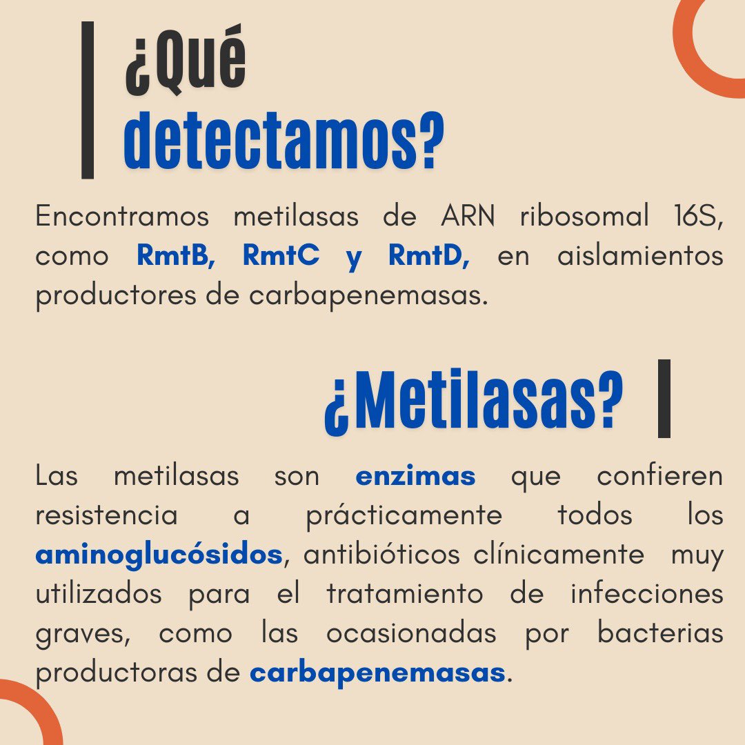 Laboratorio De Resistencia Antibiótica tweet media