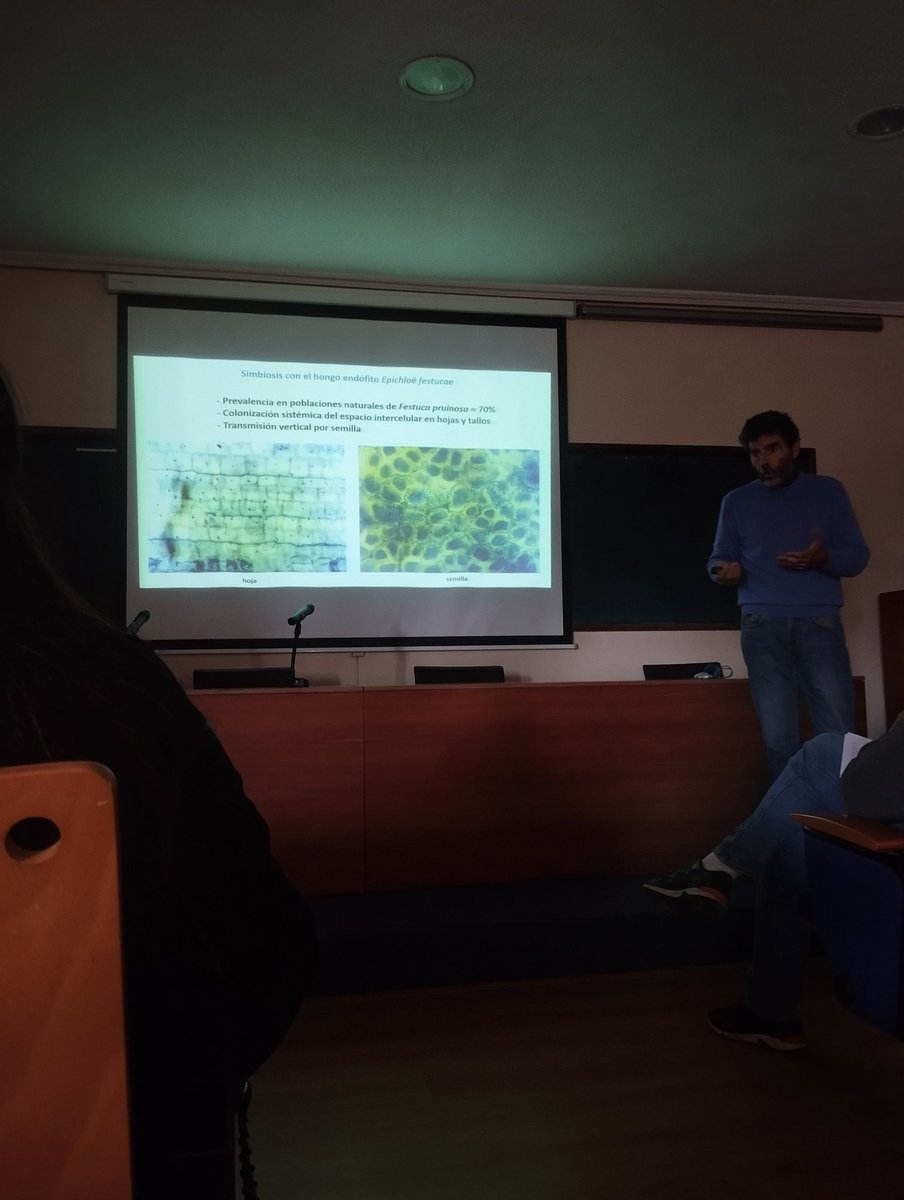 wheatmeiosis IAS CSIC (@wheatmeiosis) on Twitter photo La relación de simbiosis establecida entre #Epichloë y #Festucarubra gramínea halófita se ha centrado la presentación de Íñigo Zabalgogeazcoa durante los cursos de formación de <a href="/TrigoHubCSIC/">TrigoHubCSIC</a> #estressalino #limitedenutrientes #estresabiotico #viento #acantilados #estresosmotico La relación de simbiosis establecida entre #Epichloë y #Festucarubra gramínea halófita se ha centrado la presentación de Íñigo Zabalgogeazcoa durante los cursos de formación de <a href="/TrigoHubCSIC/">TrigoHubCSIC</a> #estressalino #limitedenutrientes #estresabiotico #viento #acantilados #estresosmotico