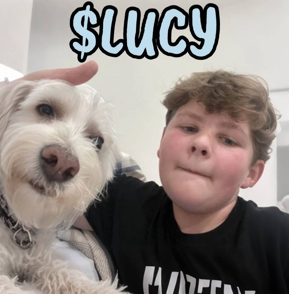 Movementorrrr's tweet photo. @theamerah @0xSweep LFG $Lucy https://t.co/r2kFtWntaL