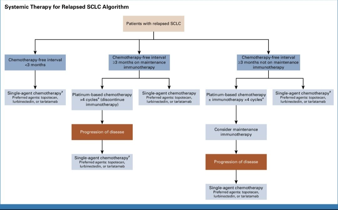 Systemic Therapy for Small Cell Lung Cancer: ASCO Guideline Rapid Recommendation Update 

💥Consolidation with Durvalumab (ADRIATIC) in limited-stage disease and the addition of Tarlatamab (DeLLphi-301) in subsequent lines for extensive-stage disease

 ascopubs.org/doi/10.1200/JC…