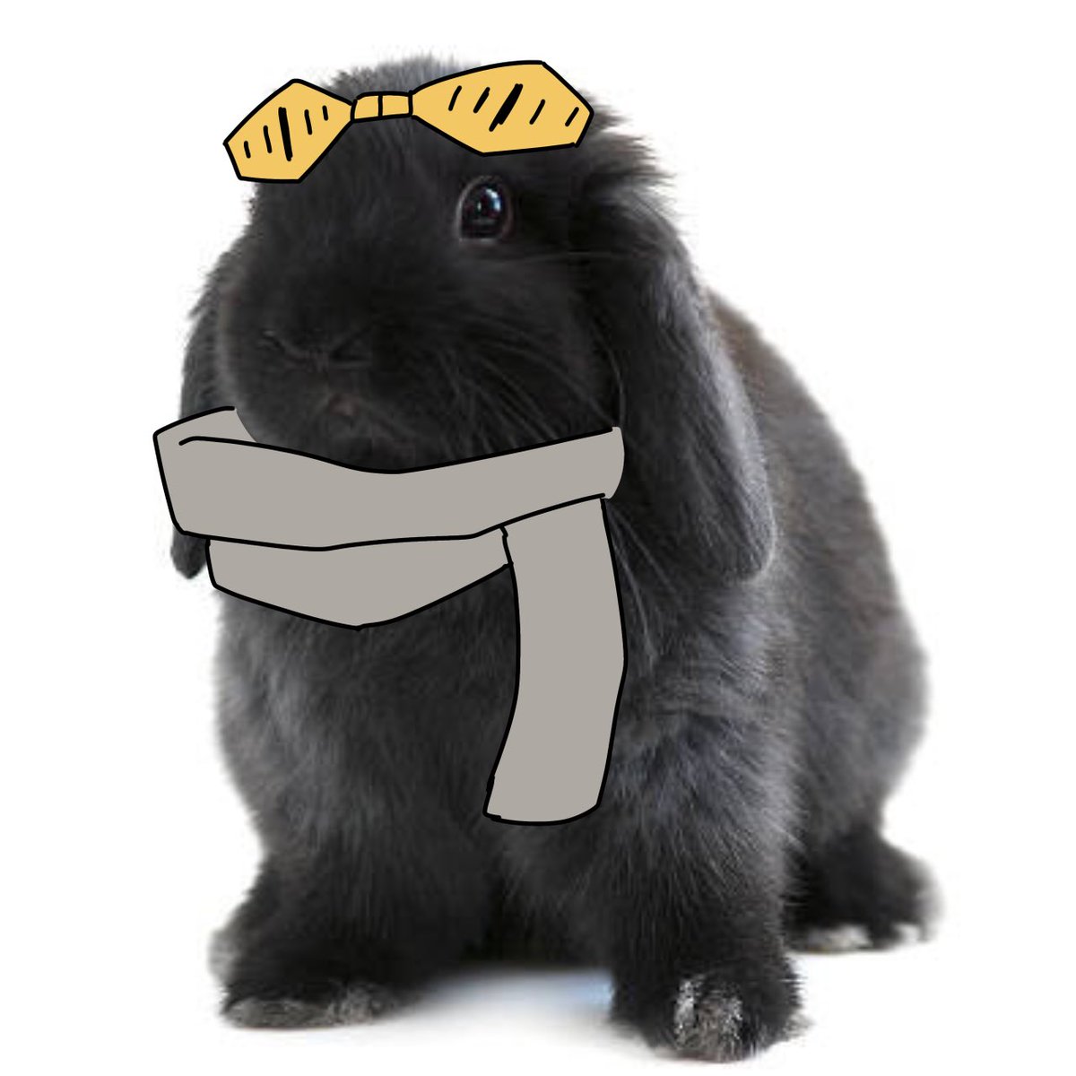 present rabbit and eraserbun