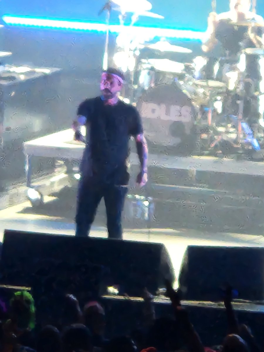 Elizabeth Lang tweet media