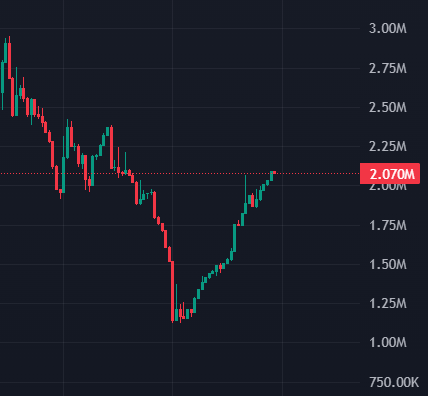 GIGA PNUT tweet media