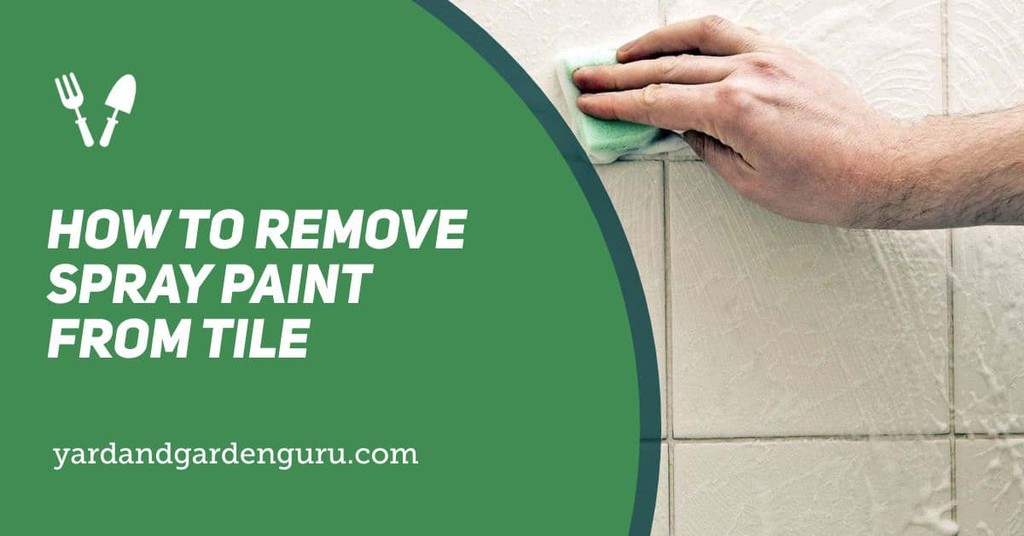 How To Remove Spray Paint From Tile
▸ lttr.ai/AYx2E

#DIY #Home #Yard