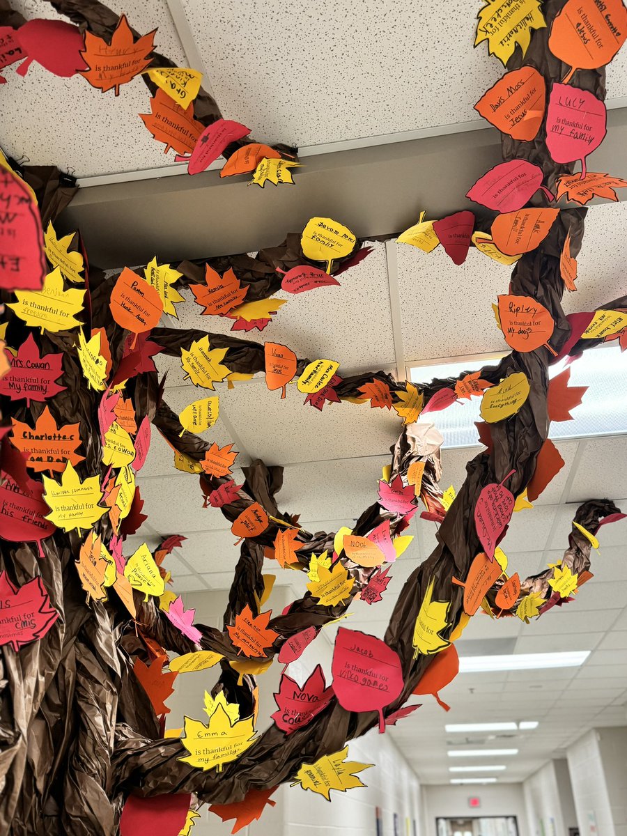 Our amazing 4th grade team created this beautiful thankful tree, filled with leaves of gratitude from every student and staff member at DCES. Stop by tomorrow at the Thanksgiving feast and see the love and appreciation that fills our school!🦃🍁 #thankfultree #dcesdragons