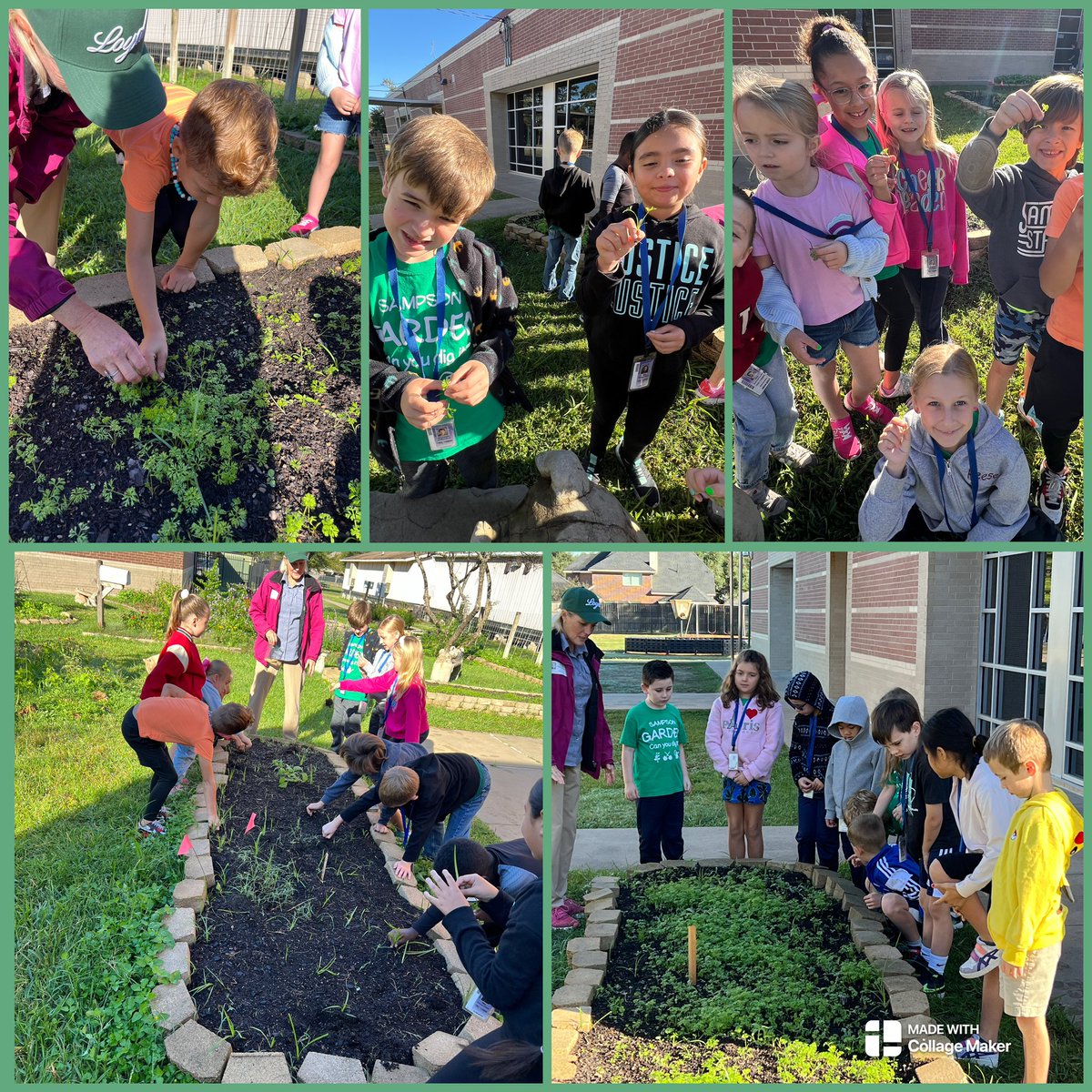 Kristy Michel (@mrsmichelclass) on Twitter photo 🧑🏼🌾Garden Day! 👩🏼🌾 We learned about herbs, thinning carrots, and planted spinach seeds! It’s always a fun day of learning with <a href="/readygrowgarden/">Ready to Grow Garden</a> in the garden! 🪴🫚🥕🥬<a href="/SampsonElem/">Sampson Elementary</a> <a href="/SampsonPTO/">Sampson PTO</a> <a href="/2ndgradeSampson/">Sampson2ndgrade</a> 🧑🏼🌾Garden Day! 👩🏼🌾 We learned about herbs, thinning carrots, and planted spinach seeds! It’s always a fun day of learning with <a href="/readygrowgarden/">Ready to Grow Garden</a> in the garden! 🪴🫚🥕🥬<a href="/SampsonElem/">Sampson Elementary</a> <a href="/SampsonPTO/">Sampson PTO</a> <a href="/2ndgradeSampson/">Sampson2ndgrade</a>