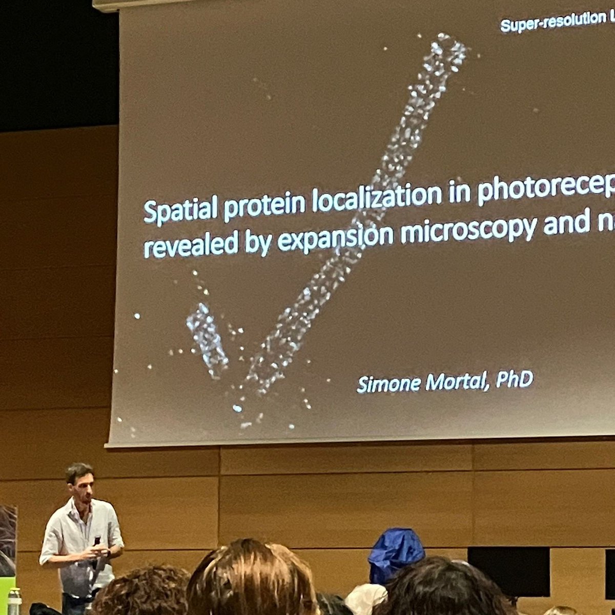 Day 1. SPAOM 2024.

Excited to discuss expansion microscopy and its application to retinal research!

Great environment and community at #spaom2024 !!!