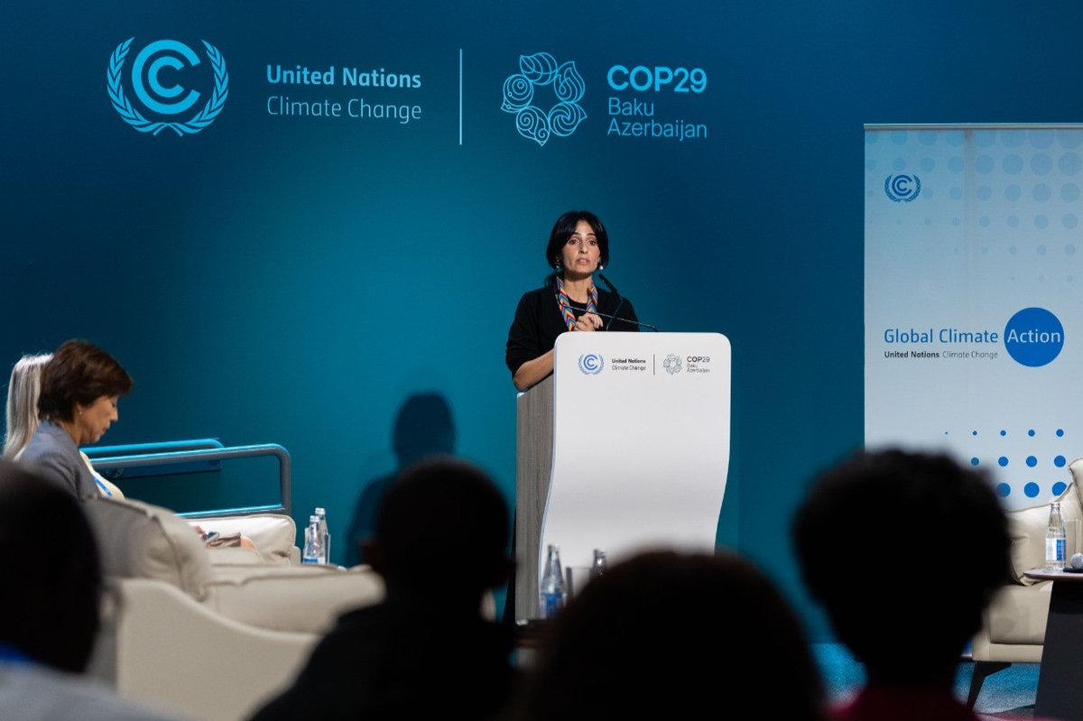 COP28 UAE tweet media