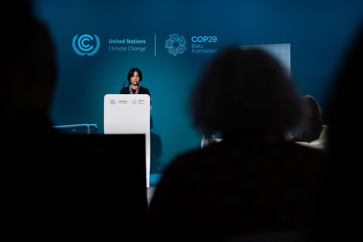 COP28 UAE tweet media
