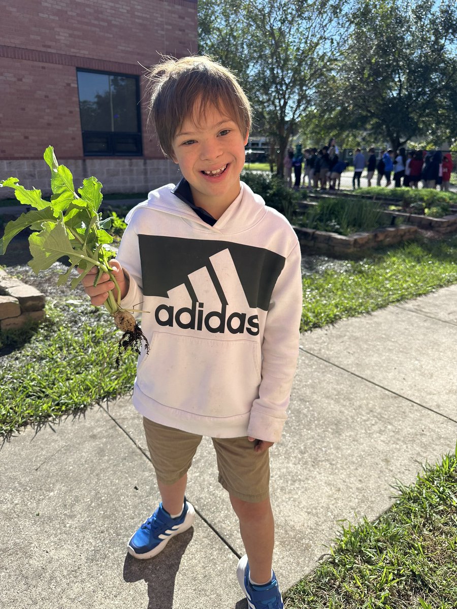 readygrowgarden's tweet image. Super fun #GardenDay happening at @OakForestES 💚 Radish harvest! Parent volunteers! Creative leaf rubbings! 🦋🌻@HoustonISD #garden #outdoored