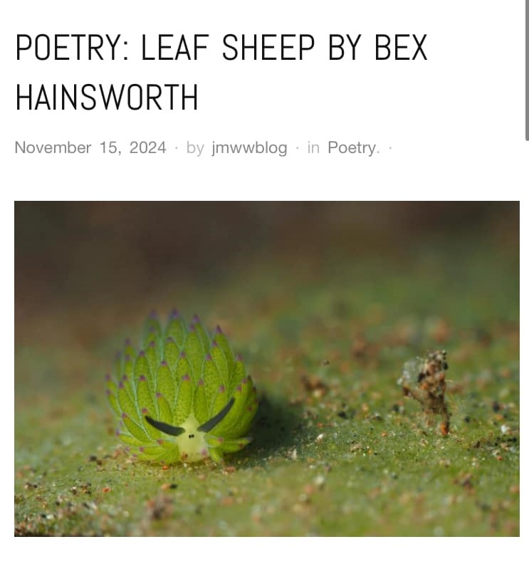 PoetBex's tweet photo. For this month's #twentyforecopoetry I'm sharing my poem 'Leaf Sheep', recently published in JMWW Journal  🍃

@twentyecopoetry #poetry #ecopoetry 💚 https://t.co/LlqAHZBNbs