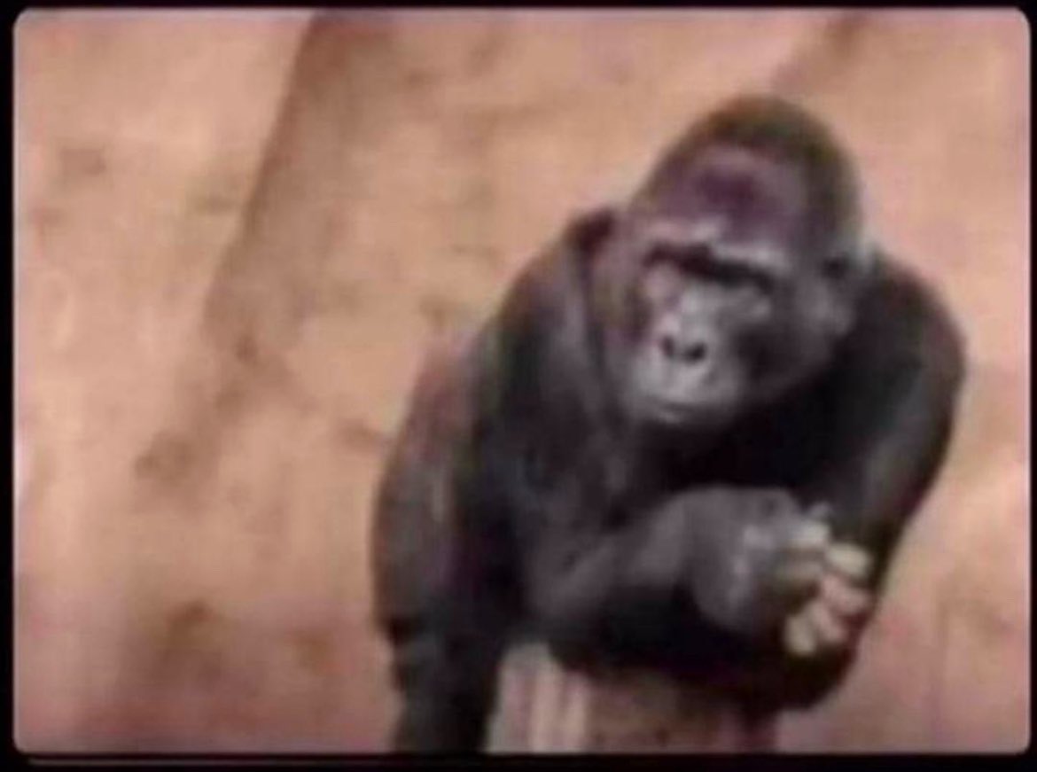 Me when you reply my text with kk,tnx,lol,fyn,…😂😂