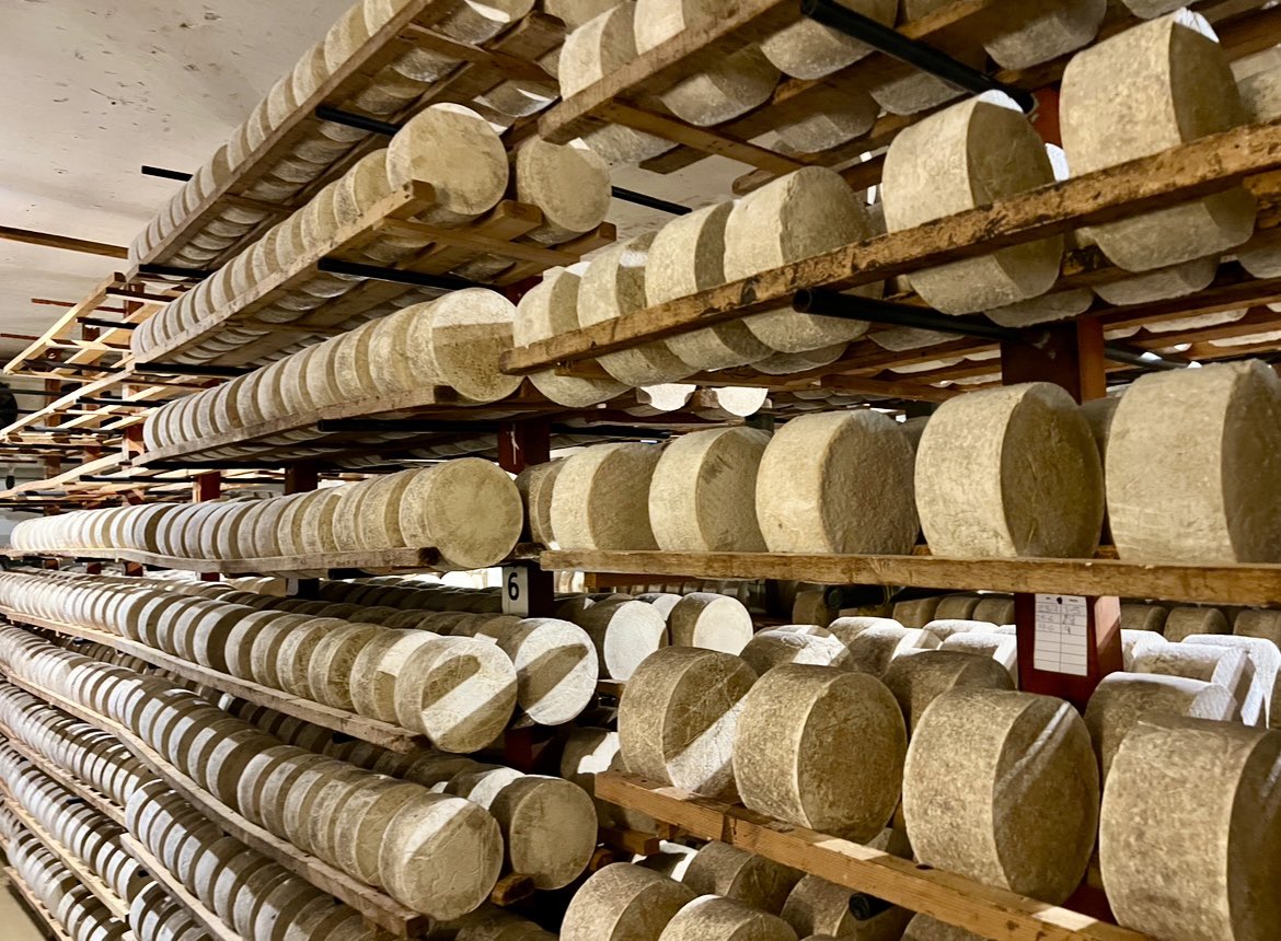 Mónica García H. tweet media