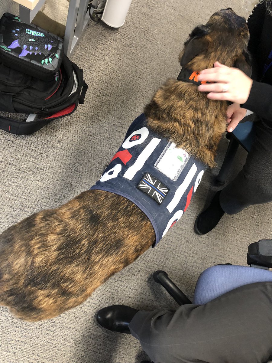 Chappers2013's tweet photo. Great morning #spreadingsmiles with @PBaloo and #RPDRex at #GreatDunmow Police Station 💙

@OscarKiloNine 
@OscarKiloUK 
#wellbeingdog https://t.co/ovlXW2skbB