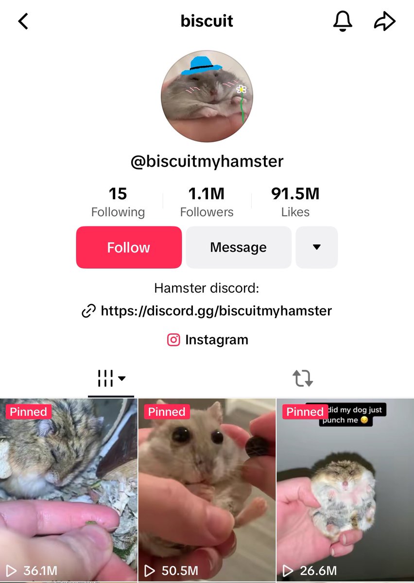 Alright going to drive home now

I will be back in an hour or so 

If a team can CTO the hamster I think it has mad potential

And will help push af

You got $puff the cat

You got $sushi the dog

Now let’s send $biscuit the hamster

3N7zL84JQyHHyLP93qGenAvCMfSdfujS1HzU7E8zpump