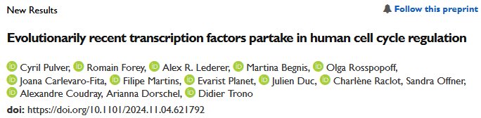 Trono Lab (@trono_lab) on Twitter photo PREPRINT OUT! Cell cycle regulation is not limited to conserved TFs. Select young TFs (29-105myo) 1) regulate cell cycle genes and 2) set the #ReplicationTiming of gene clusters. Brainchild of <a href="/ForeyRomain/">Forey Romain</a> and <a href="/PulverCyril/">Cyril Pulver</a>. doi.org/10.1101/2024.1… PREPRINT OUT! Cell cycle regulation is not limited to conserved TFs. Select young TFs (29-105myo) 1) regulate cell cycle genes and 2) set the #ReplicationTiming of gene clusters. Brainchild of <a href="/ForeyRomain/">Forey Romain</a> and <a href="/PulverCyril/">Cyril Pulver</a>. doi.org/10.1101/2024.1…
