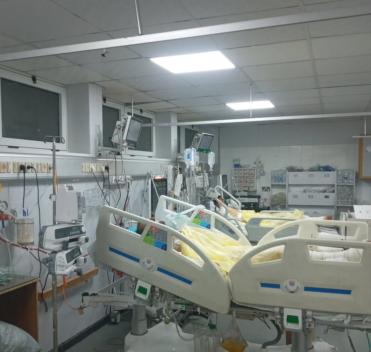 Dr.Hamza Alsharif 🇵🇸 tweet media