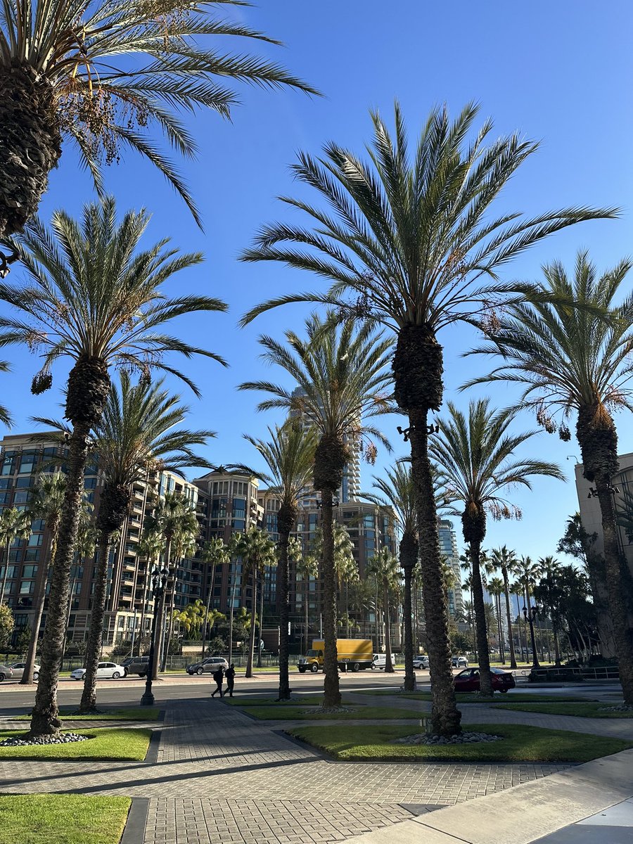 Francessca Reynoldson tweet media