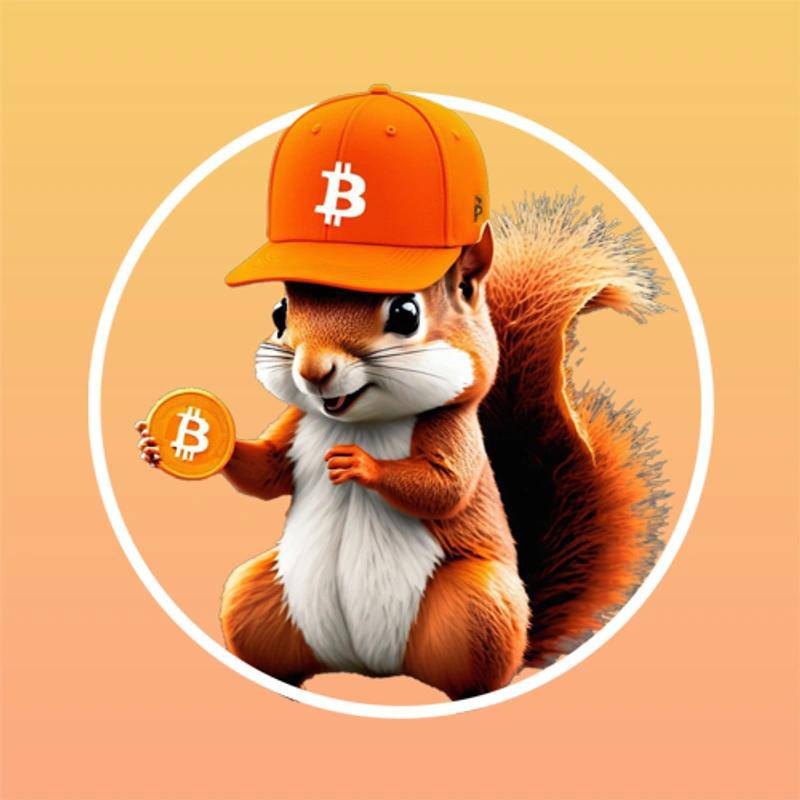 Come be a part of the greatest meme coin in history.  What makes it so great?  YOU DO!

Bitcoin + Peanut = $bitnut, the richest squirrel on earth and soon to be the most popular!

Led by the greatest CTO Admins in crypto, if you want to go higher, we’ll take you higher!

$bitnut