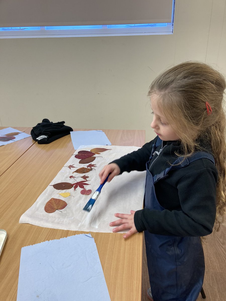 PipersForestSch's tweet image. Before half term, Year 1 collected and pressed lots of leaves. Today the leaves were ready to stick onto paper. Once they are dry, they will be ready for the last step - can you guess what the final product will be?! 🍁🤔
#naturecraft #leafpressing #piperspreprep