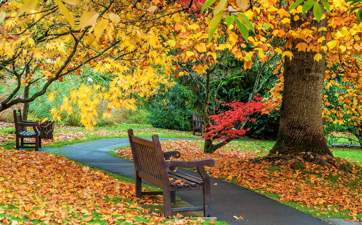imhappypoppy's tweet photo. @tecknetofficial #TECKNET #Autumn #Giveaway. โค๏ธ Love to surprise me. This is Bath Park. We love going there with the kiddies. They have a so much fun kicking up the fabulous coloured leaves. They we go home and make some pretty collages with the leaves. https://t.co/ChUHjAmY7k