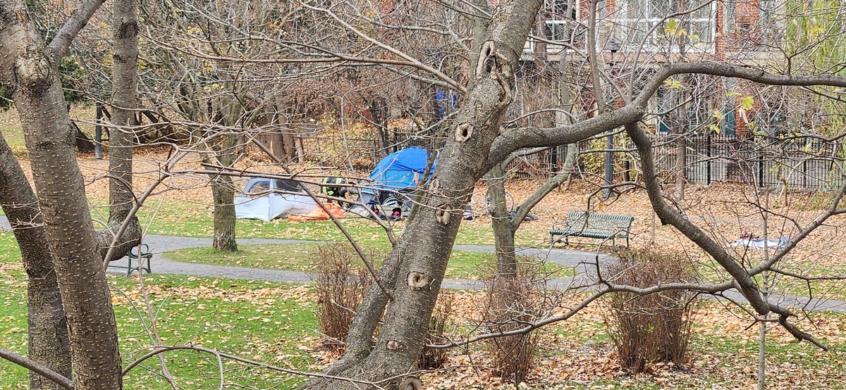 RoboRobbins's tweet image. For two weeks now theres an apparent open air drug/stolen goods exchange in Central Park.

-20m from a toddler park
-100m from a daycare
-200m from a school

Literally 100 police, @_MarkSutcliffe and @ShawnMenard1 all marched past  in the toy parade on Saturday 

Still there now