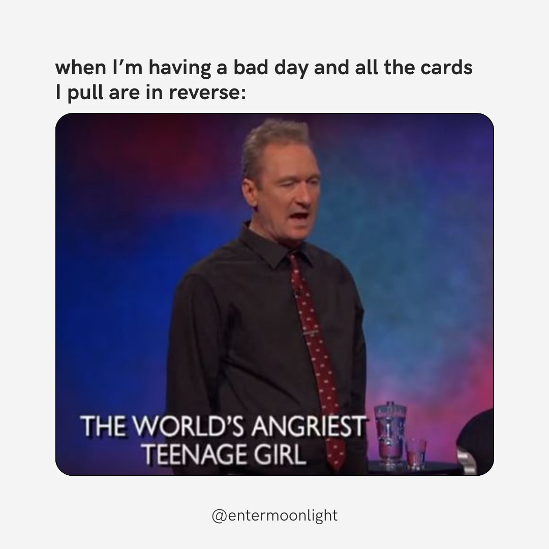 Moonlight tweet media