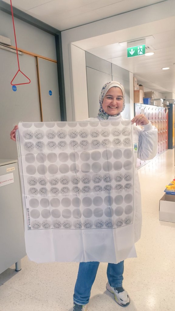 rezk_nouran's tweet image. Received my fabric #cutfromthesamecloth, showing my promising vaccine's results. Spots represent immune cells having a weapon in an army against the P. aeruginosa infection compared to unvaccined. This is to explain to the public how vaccines are important to protect against AMR.