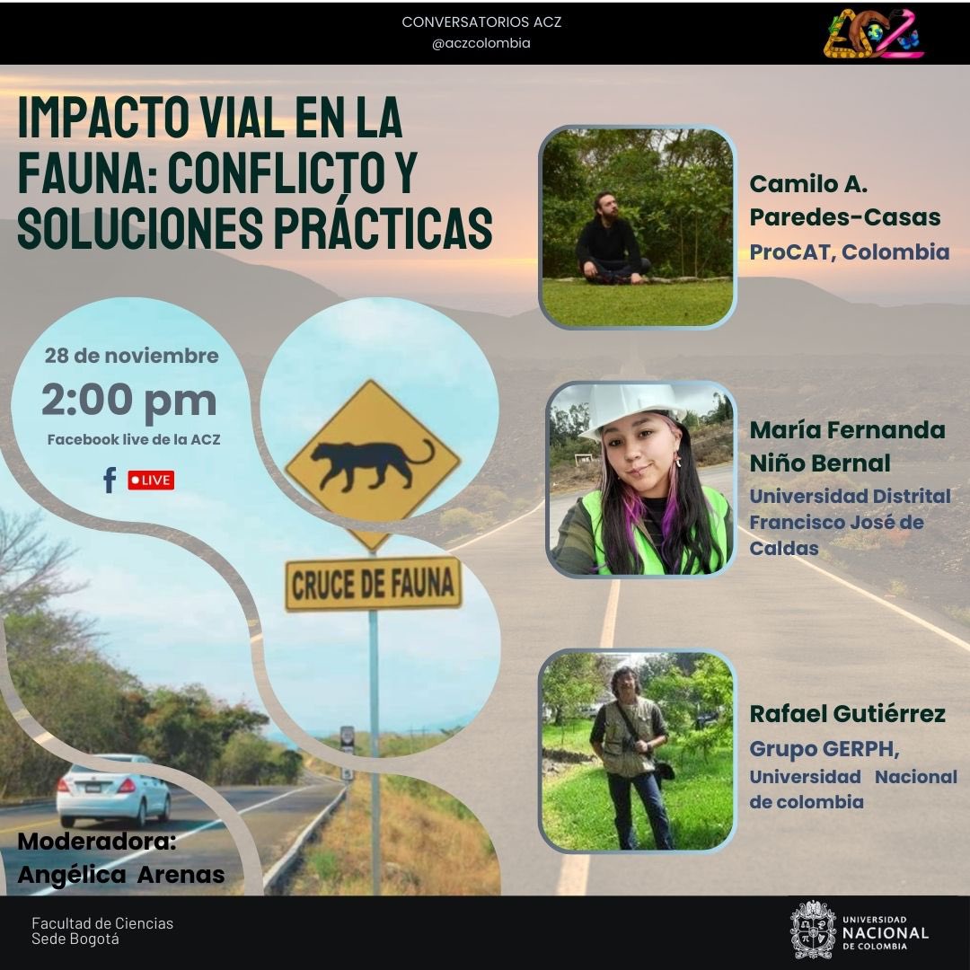 🌿🚗 ¿El impacto vial afecta a la fauna?
Descubre cómo abordar este conflicto y qué soluciones podemos implementar en el conversatorio: Impacto vial en la fauna: conflicto y soluciones prácticas.

🗓 28 de noviembre
⏰ 2:00 p.m.
📍 Facebook Live de <a href="/aczcolombia/">ACZ Colombia</a>