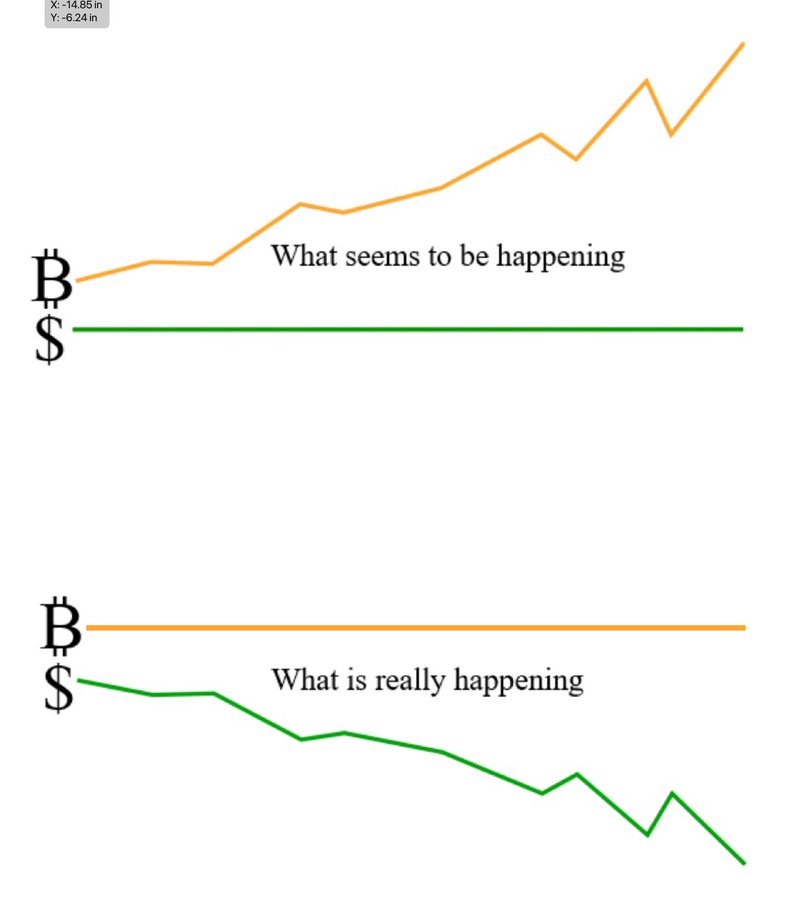 This will be the biggest #Bitcoin bull market of our lives.