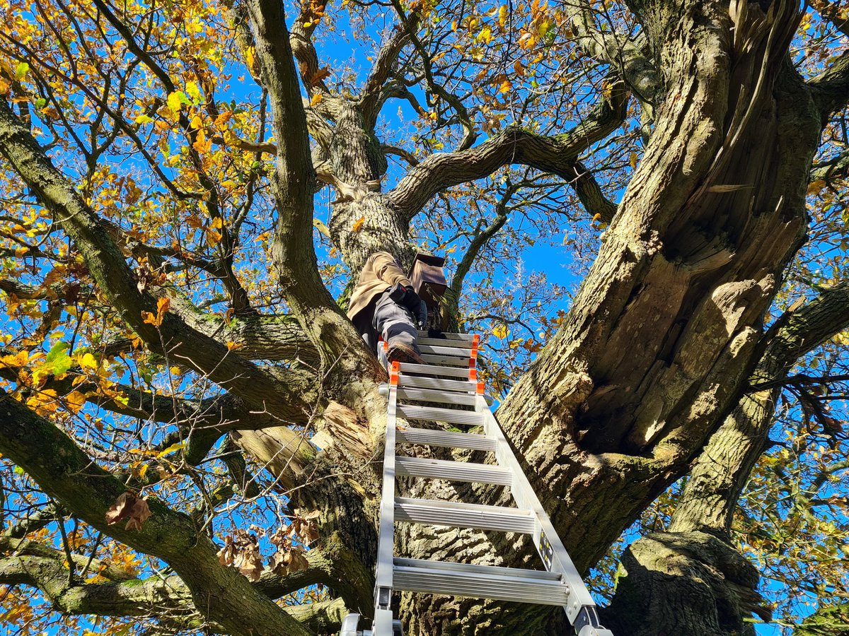 Francis Buner tweet media