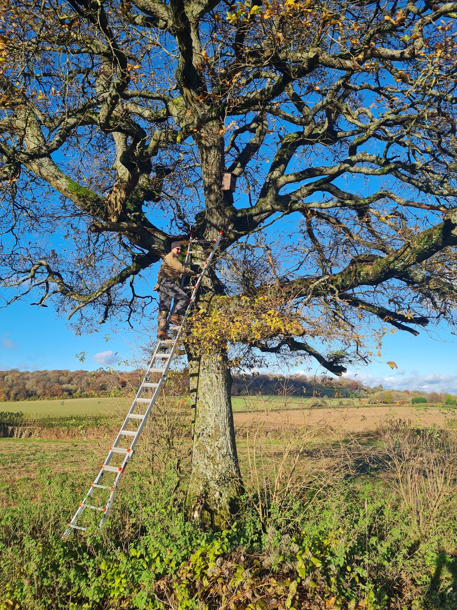 Francis Buner tweet media