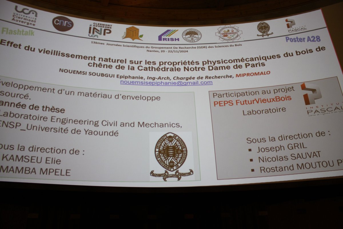 GDR-Bois tweet media