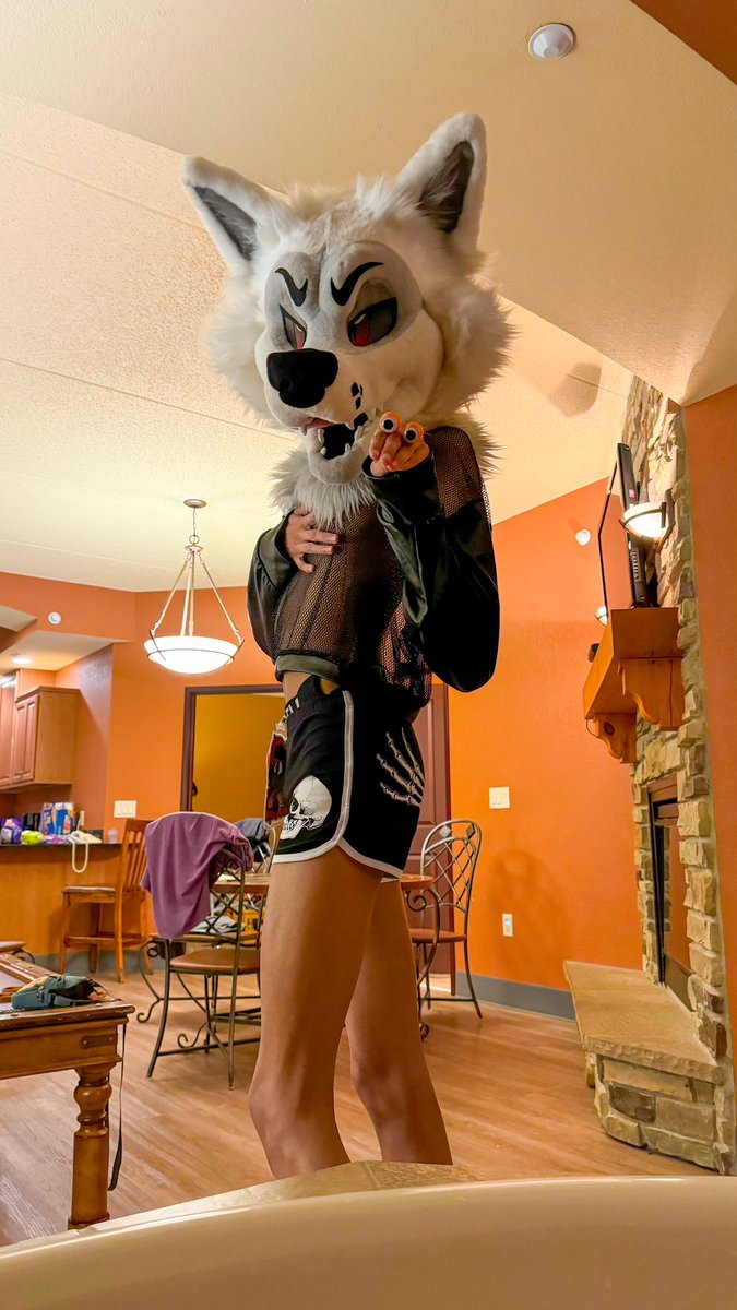 Disjoint Wolfy tweet media