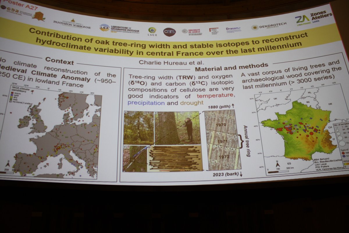 GdrBois's tweet photo. Poster A27 #gdrbois2024 HUREAU Charlie Contribution of oak tree-ring width and stable isotopes to reconstruct hydroclimate variability in central France over the last millennium https://t.co/57XdjdQlHN