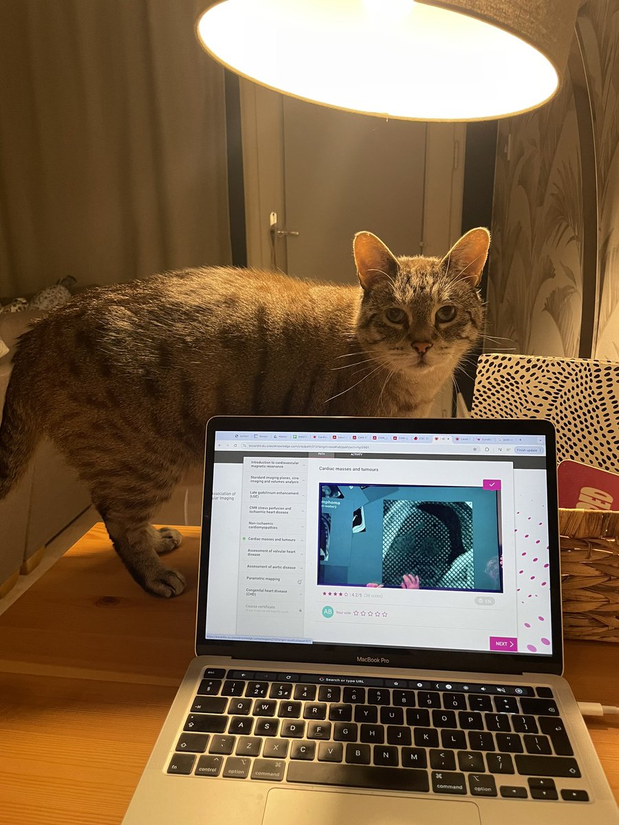 AnnaKateBarton's tweet image. Paulie helping his mum revise #whyCMR when in reality you’d think he’d be more of an expert in #CardiacCT (CAT) scans #multimodalityimaging