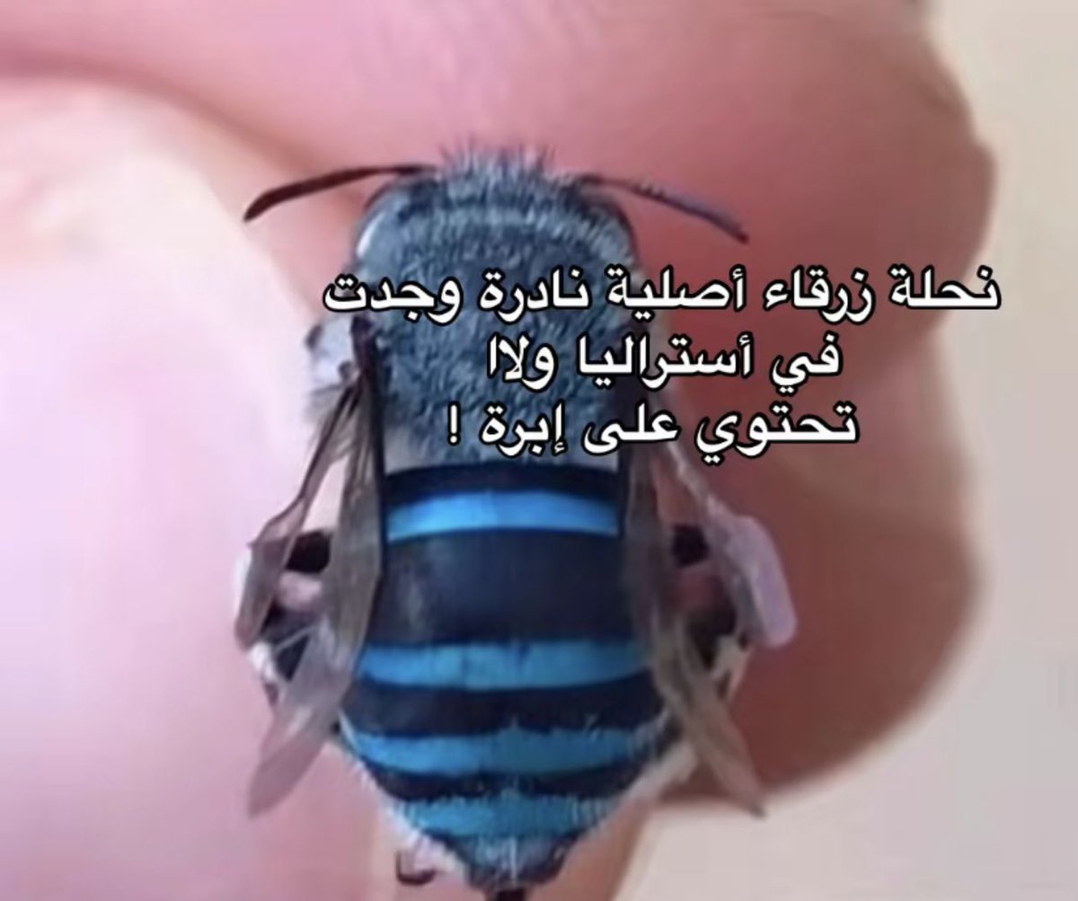 سبحان اللّٰه وبحمده عدد خلقه ورضا نفسه وزنة عرشه ومداد كلماته