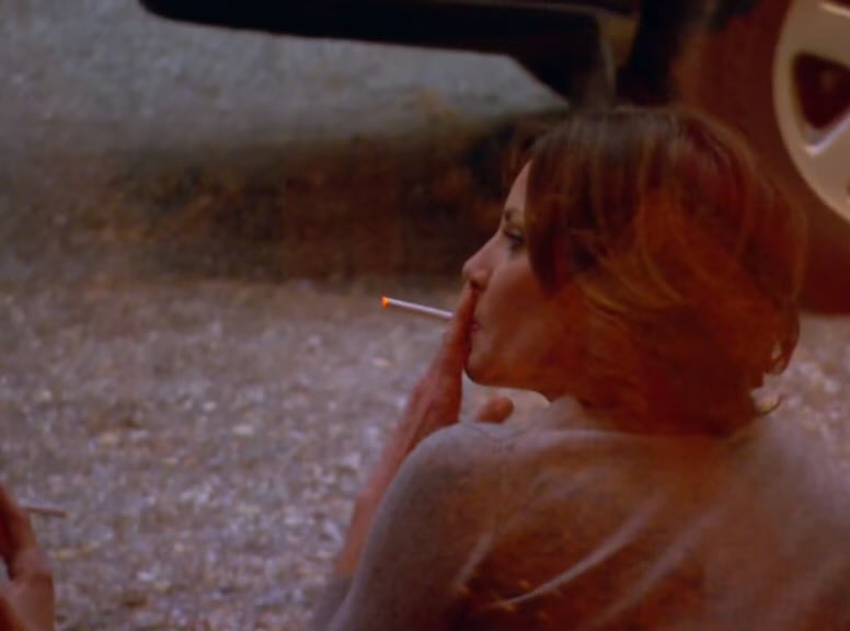 Real Bravoholic tweet media